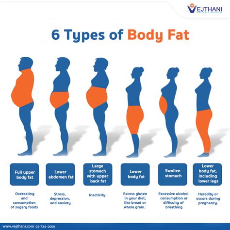 What Causes Belly Fat In A Thin Person